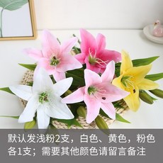 fb431cb1247a0f1d9903857a9536380575ac24b75b90c9a12660d0b537ec.jpeg