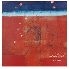 누자베스 Nujabes Modal soul LP - 누자베스lp