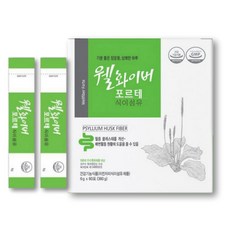 웰화이버 포르테 차전자피 식이섬유 편안한 쾌변 혈중 콜레스테롤감소 (6g ), 1개, 60포