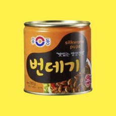유동 유동 번데기 280g, 11개