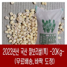 [다온농산] 2023년산 국산 찰쌀보리쌀<찰보리> -20Kg- 바짝도정, 1개