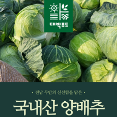 [대박푸드] 국내산 무안 양배추 (2kg 3kg 6kg) 이내 깐양배추 (1개 2개 3개), 1.3kg, 4개, 5kg 이내 3-4개 랜덤발송