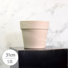 5428bce398d8e7e893834f0e02ecc4fc6a61c7e5a34cc120d24ee2f0f5f5.jpg
