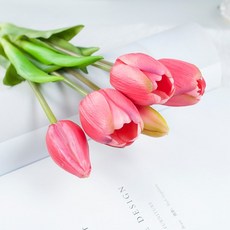 가렌꽃