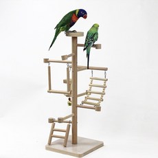 지아지조정글짐