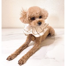 강아지케이프만들기