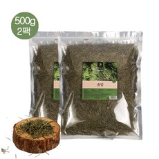 솔잎혹파리