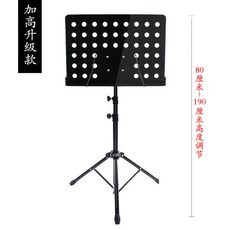 오케스트라공연
