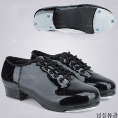 월드홀릭 탭슈즈 탭댄스 댄스화 탭댄스화 탭댄스슈즈 yWDX42, 210, 남성유광