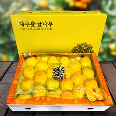 [애귤] 제주 고당도 황금향 선물세트 3kg (대과 9-12내)