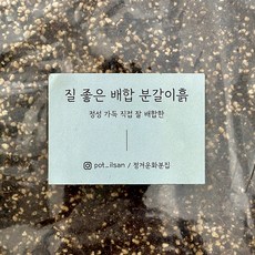 정겨운화분집 정성가득 직접 잘 배합한 질 좋은 배합 분갈이흙 - 모든식물용(프리미엄), 1L, 1개