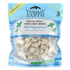 [메가마트]야미얼스 유기농 페퍼민트 패밀리팩 368g, 1개