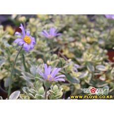 d29717ada9c4430237ee0a8f0609edf380c74613631804dd84f87c745ef0.jpg