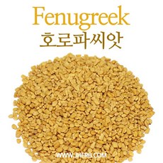 자연초 호로파 씨앗 500g, 2개