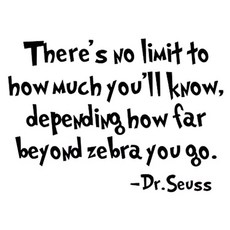 HACASOTheres No Limit to How Much Youll Know Bedroom Quote Decors Wall Saying Decals Quote f (19), 19