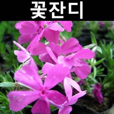 d9a8db11eb2dca1047754be3d55c1f39d7f3d7463eab50bb14fb3682d04e.jpg