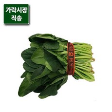 시금치1단