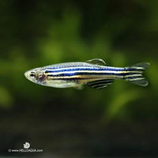 801d9eb6da2d89c8237a169d88b9401a9e2d01ac8f8abbadb4ae4690b454.jpg