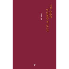 너의 슬픔에 입 맞춰준 적 있는가:양광모 시집, 푸른길, 너의 슬픔에 입 맞춰준 적 있는가, 양광모(저),푸른길,(역)푸른길,(그림)푸른길