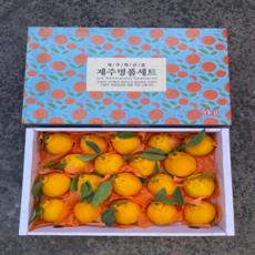[고당도엄선] 고급 과일 선물 세트 제주 한라봉 레드향 천혜향 선물세트, 3호, 1세트