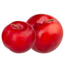 로얄 대석 자두 햇자두 600g, 600g (12~24개입 내외)