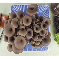 느타리버섯볶음