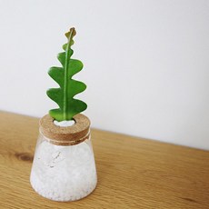 피쉬본수경