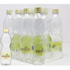 Nabeghlavi 나베그라비 천연 탄산수 미네랄워터- 고미네랄 건강수 1케이스, 1개, 1g