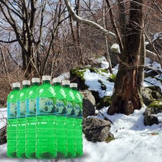 추천8고로쇠수액효능