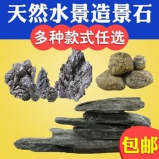 수석 명석 관상용 돌 수초항아리 조경 청룡석목 화석 용골석 계골석 단풍석 수족상어항 가산석