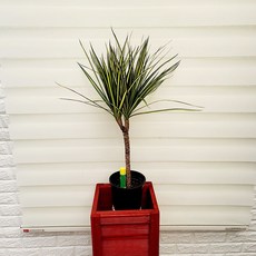 8551e586fa23cf08a4a43cd0071e3f2d07b1c76aeb969b43e982fb687364.jpg