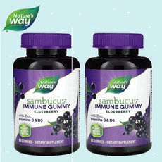 Nature's Way 네이쳐스웨이 이뮨 엘더베리 젤리 두달분, 2개, 60정
