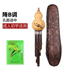 초등학생소금연주