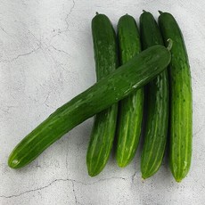 9f7e5c353421b036965fa246fb2dc3f21e8d534e7a4ed5ba871805bc3c17.jpg