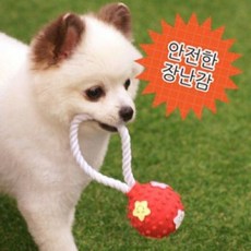 hp독