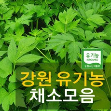 유기농공심채
