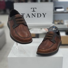 탠디단화