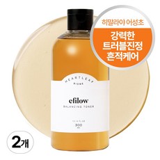 에필로우 어성초 80 히알루시카 트러블 수딩 토너 300ml, 2개