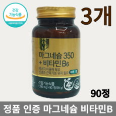 마그네슘350