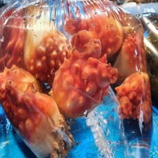 [수다모아]서울경기(일부지역제외) 당일배송 산소포장 통영바다 통멍게 1kg 2kg 3kg