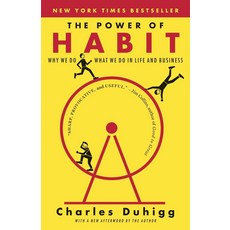 [해외도서] The Power of Habit: Why We Do What We Do in Life and Business, Random House Inc