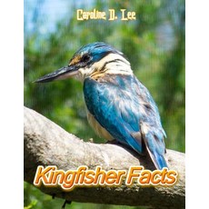Kingfisher Facts: Animal fact for girl age 1-10 Animal fact for boy age 1-10 facts about kingfisher ... Paperback, Independently Published, English, 9798697790533