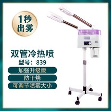 얼굴스팀기 모공관리기 헤어 안면 스티머 미스트기 수분보충 이온 피부관리실 홈케어루틴 업소용, D, D. 2구 핫 및 콜드 스프레이 (839)