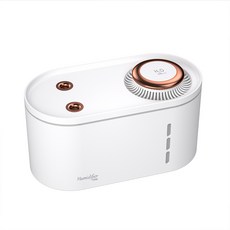 lg기화식가습기