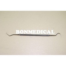 익스플로러치석제거