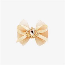 구두블랙코사지