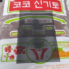 코코신기토