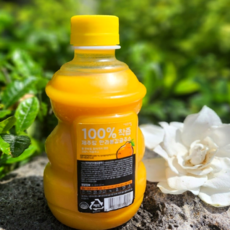 한라봉 감귤 착즙주스100% 무첨가 무색소 건강주스, 1개, 320ml