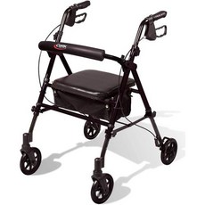 롤링보행기대여