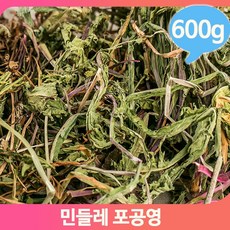 속초마리나요트